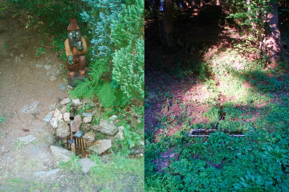 Dolní Valašská studánka (15551) Dolní Valašská studánka (15551)