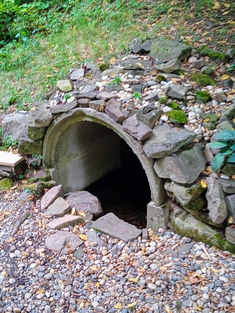 studánka U Krista (15559)