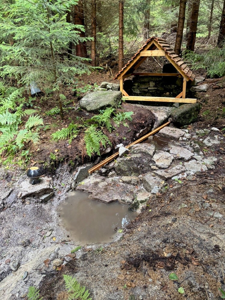 pramen Studánka Veronika (15560)