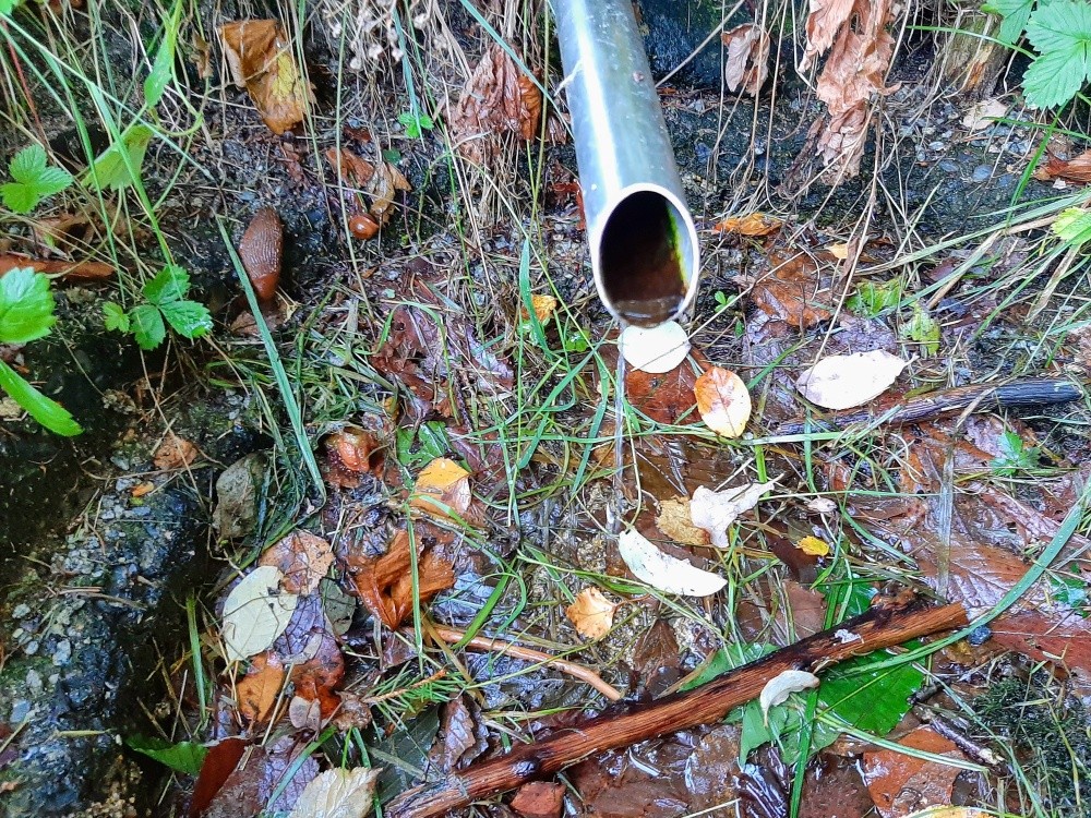 Senotínský pramen (15561)