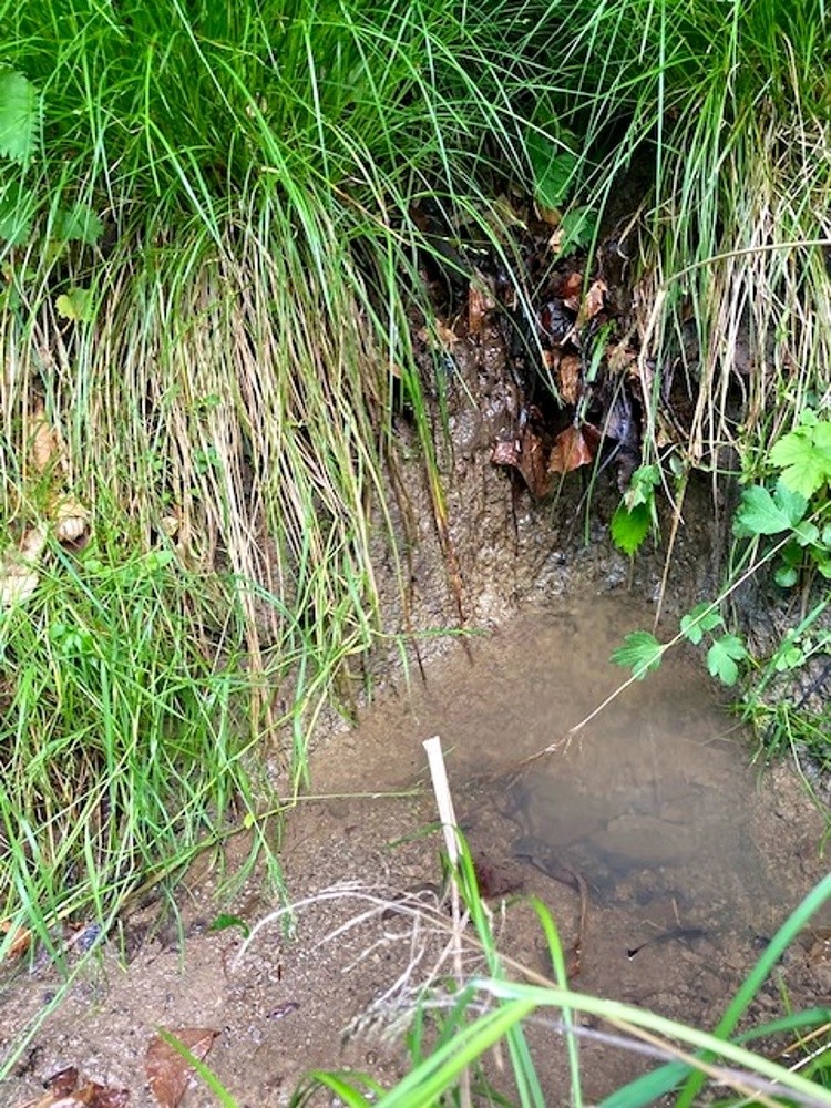 pramen Čirák (15563)