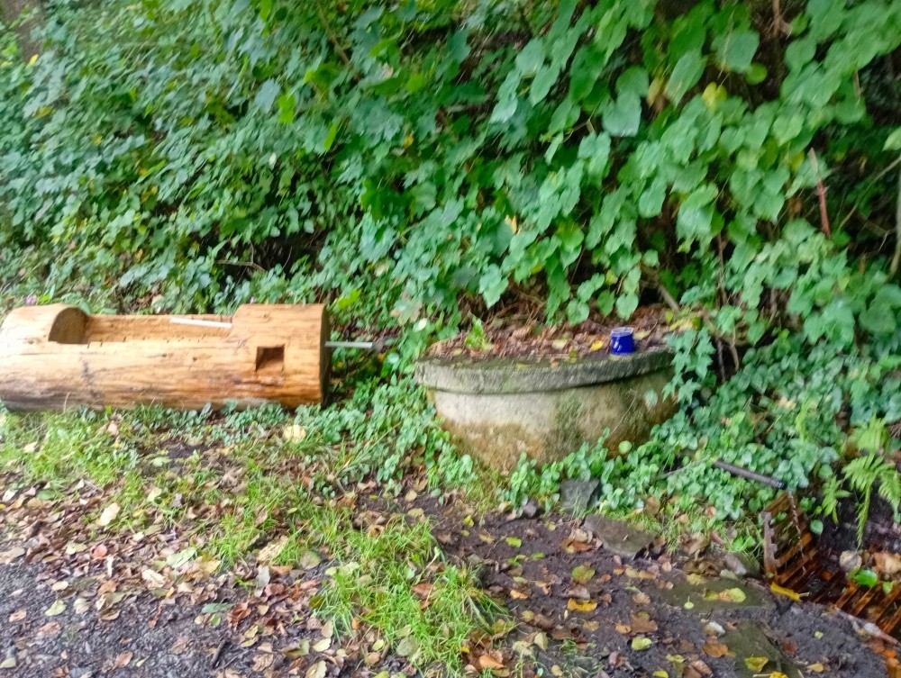 studna Pod Javorovým (15571)