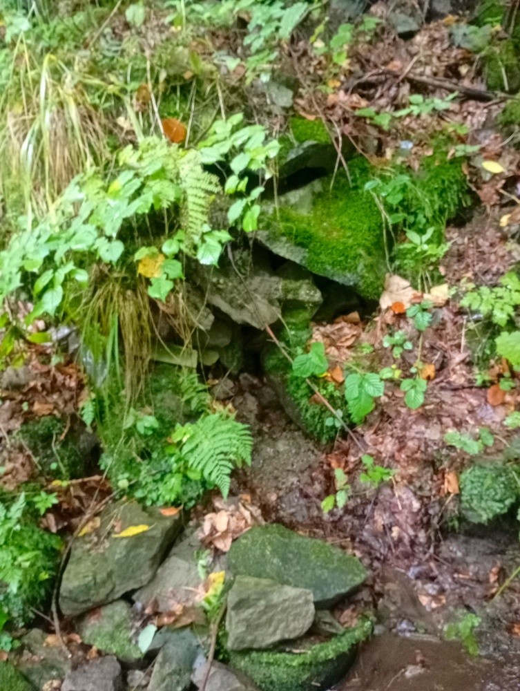 prameniště U lanovky (15572)