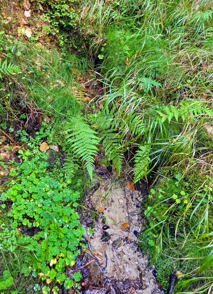 pramen bez jména (15573)