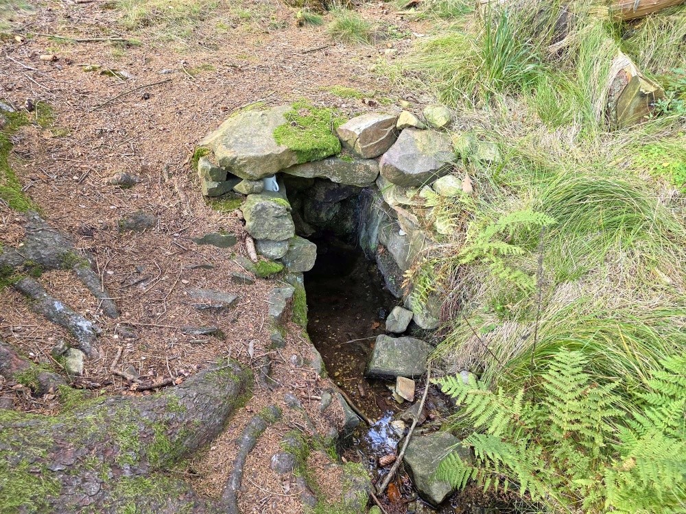 studánka Pod Sirskou horou (15578)