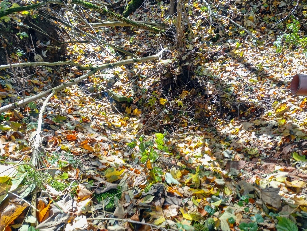 pramen V Zaolší (15580)