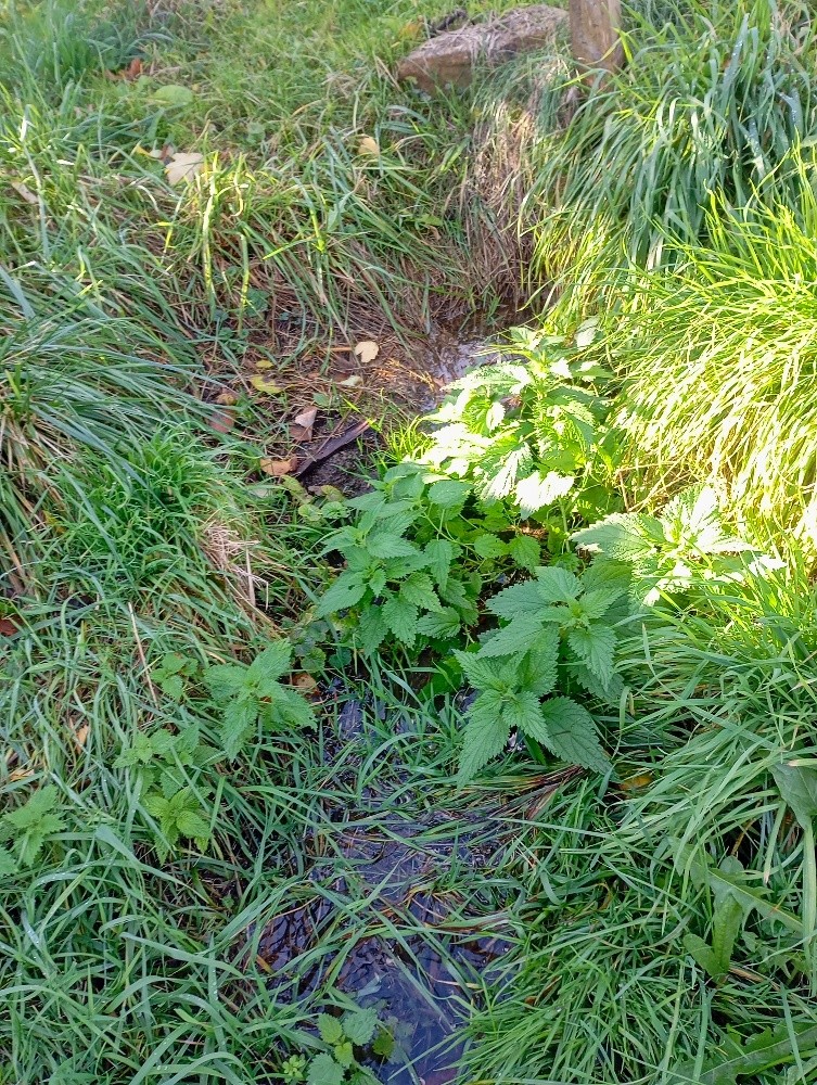 prameniště Záolší (15581)