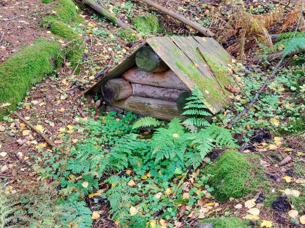 studánka Pod smrkem (15587) studánka Pod smrkem (15587)