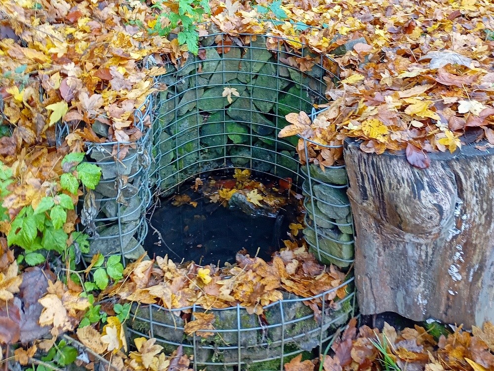 pramen Pod Bílým kamenem (15591)