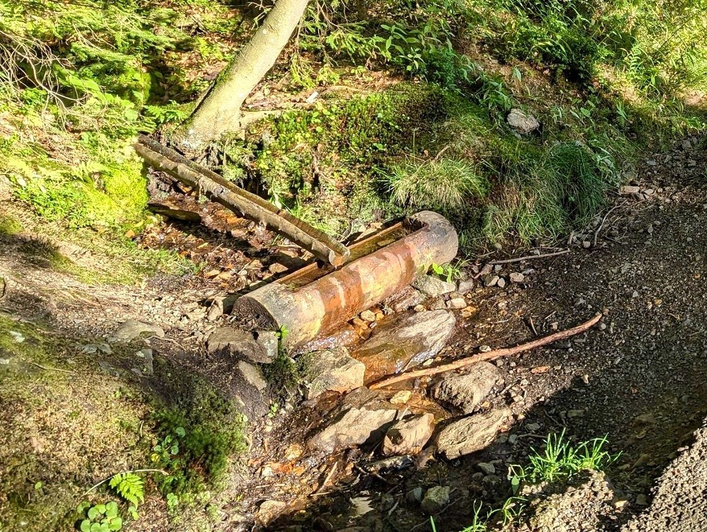 studánka bez jména (15615) - leden 2026