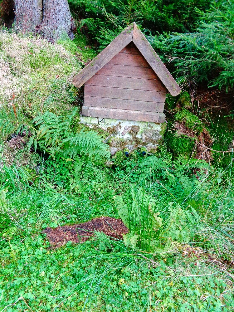 studánka bez jména (15629) - říjen 2024