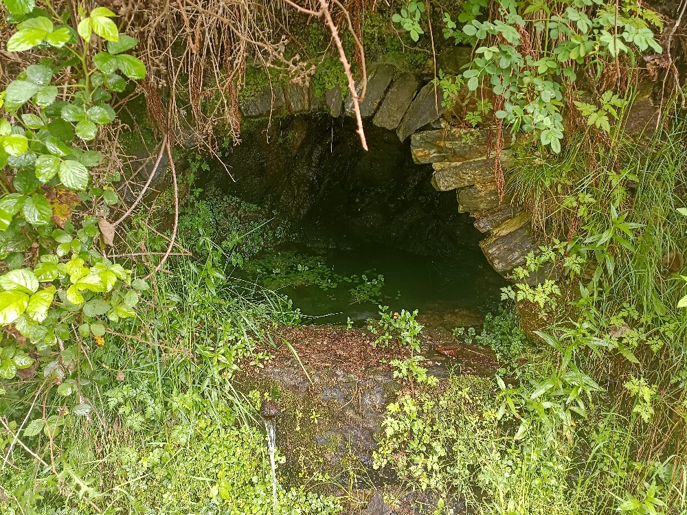 studánka bez jména (15636) - květen 2024