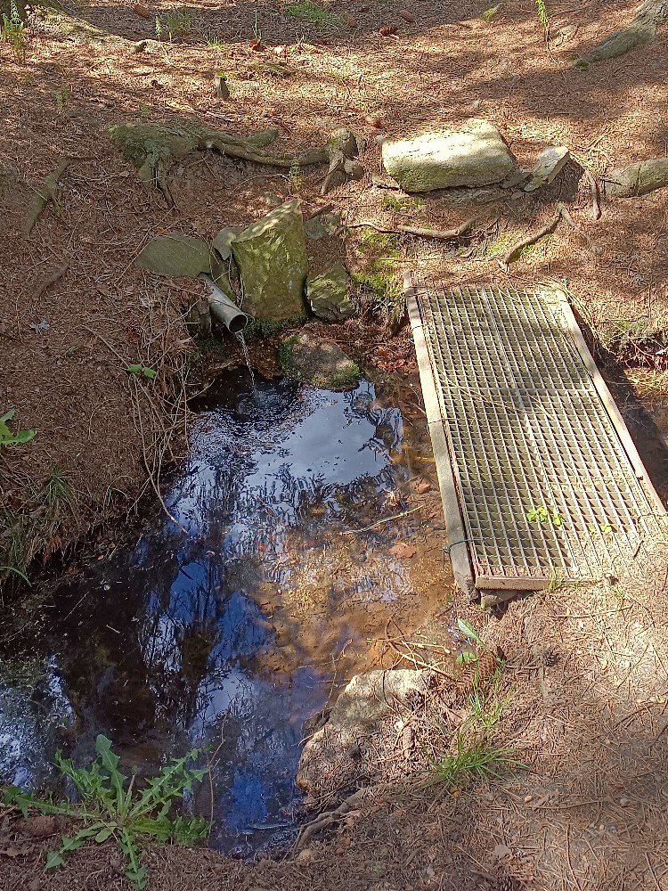 jiný vodní zdroj bez jména (15653) - duben 2024