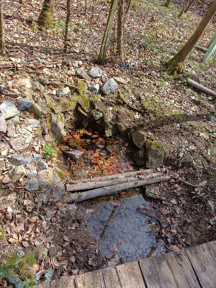 Čiperova studánka (15665) - duben 2024