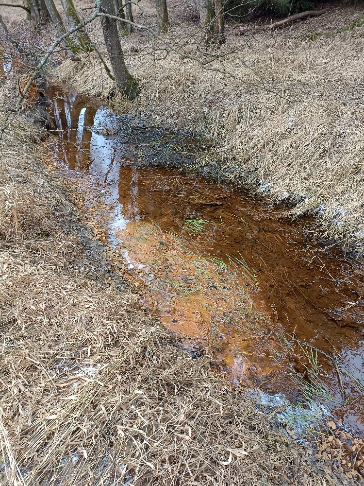 studánka bez jména (15670) - leden 2024
