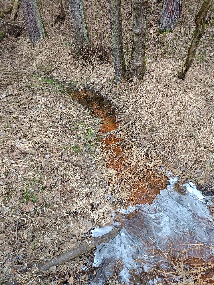 vyvěračka bez jména (15672) - leden 2024