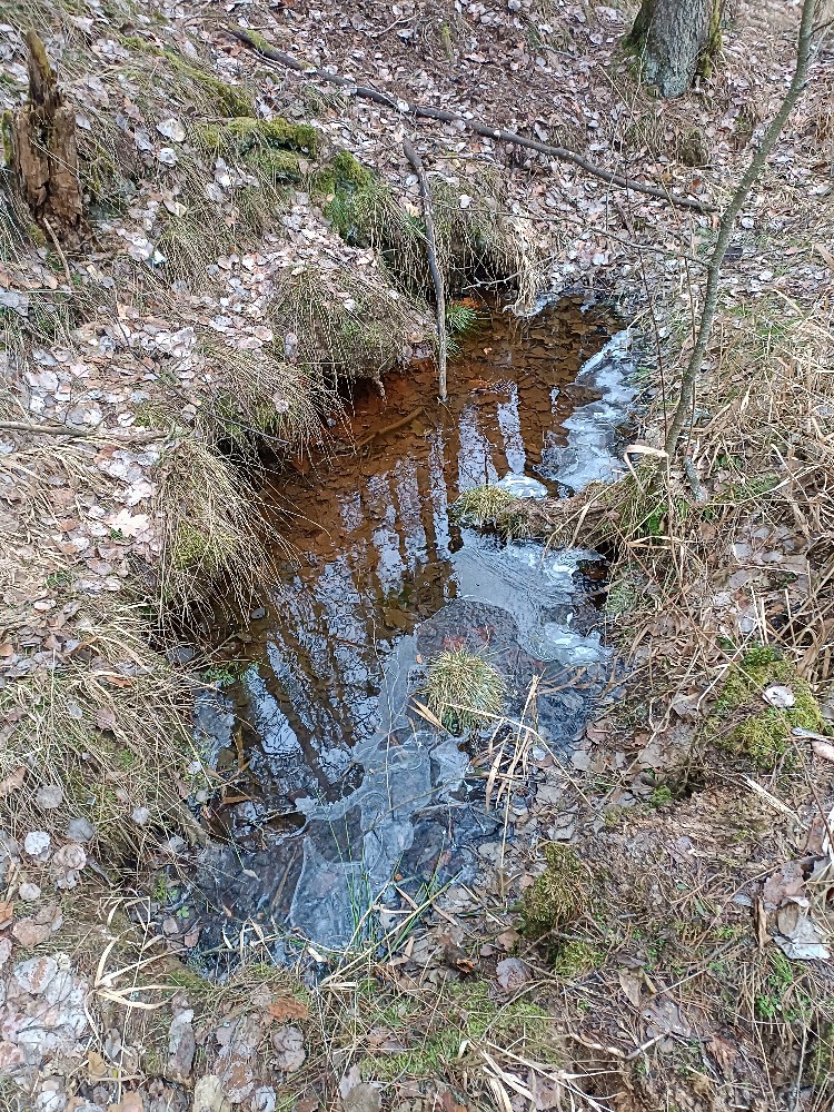 vyvěračka bez jména (15673) - leden 2024