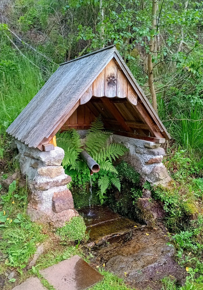 studánka Pekelská (15763) - červen 2026