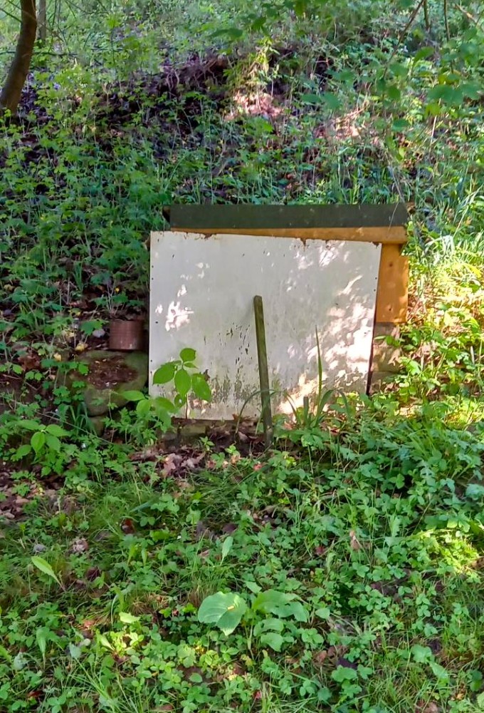 studánka bez jména (15767) - červen 2026
