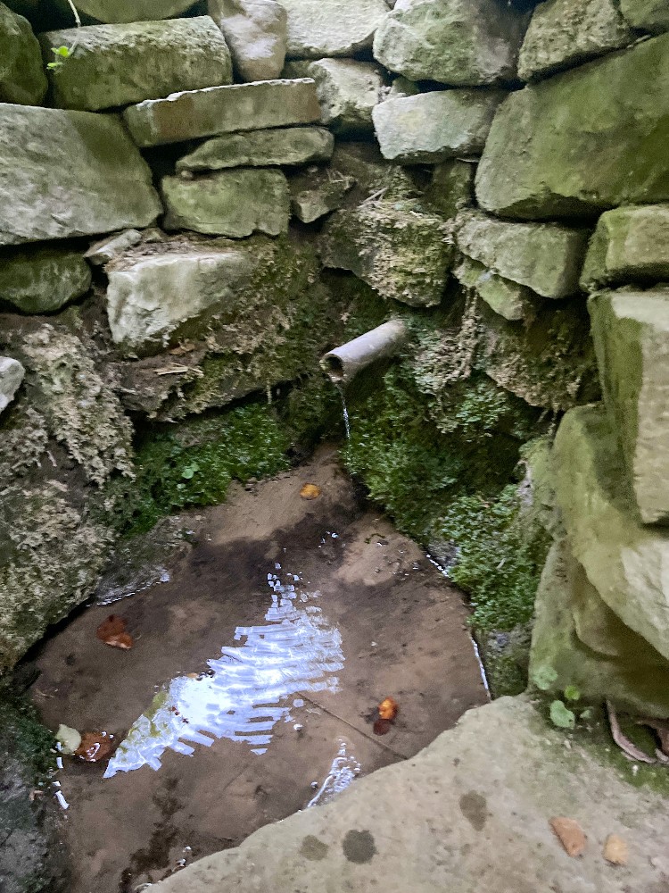 studánka bez jména (15820) - srpen 2026