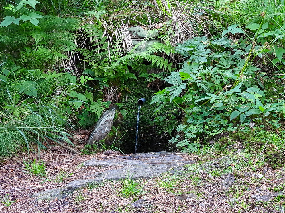 studánka Nad Dobrou vodou (15833) - červenec 2026 studánka Nad Dobrou vodou (15833) - červenec 2026