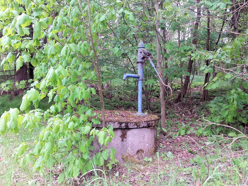 studna V lesíku (8752)