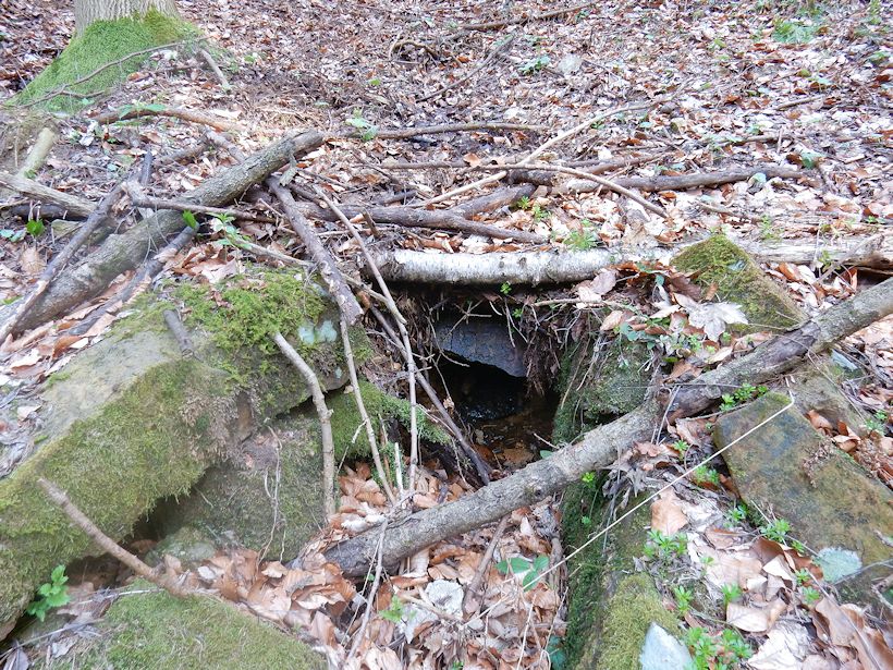 jiný vodní zdroj Boršovská studna 2  (9725)