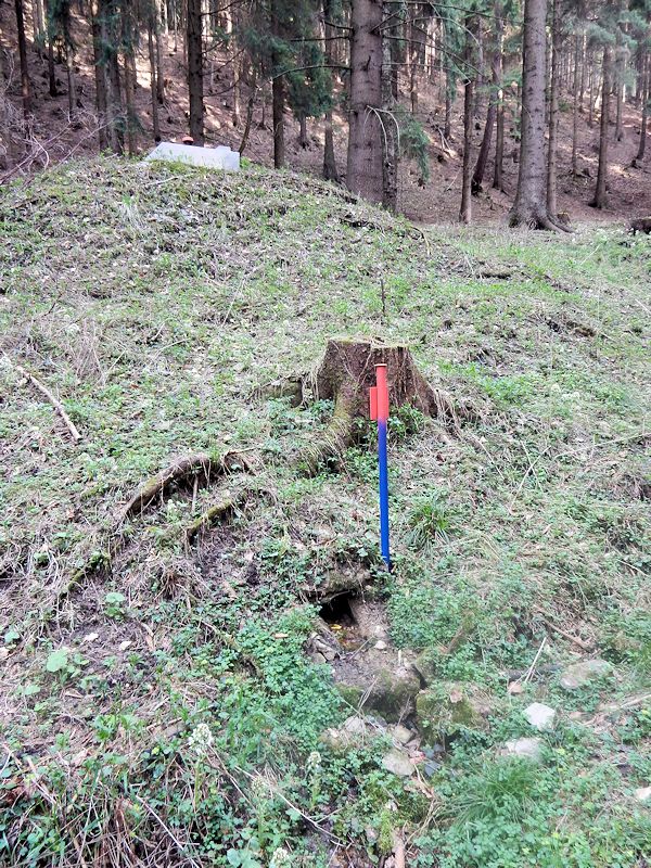 jiný vodní zdroj Boršovská studna 5 (9728)